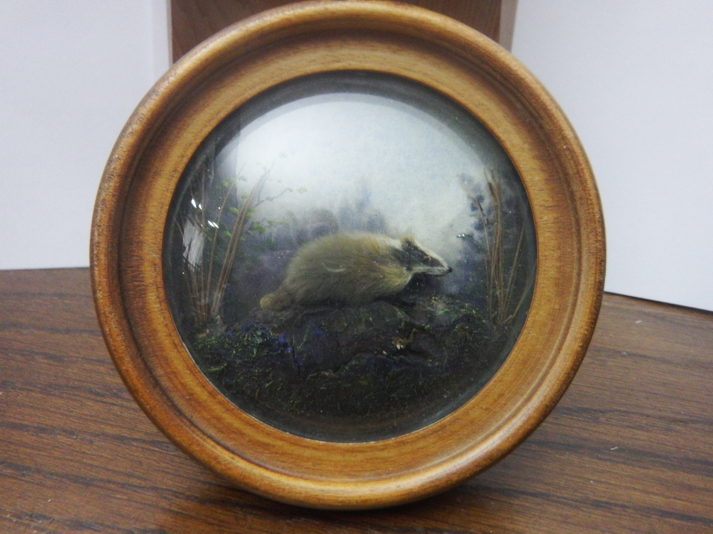 Badger (Version 4)