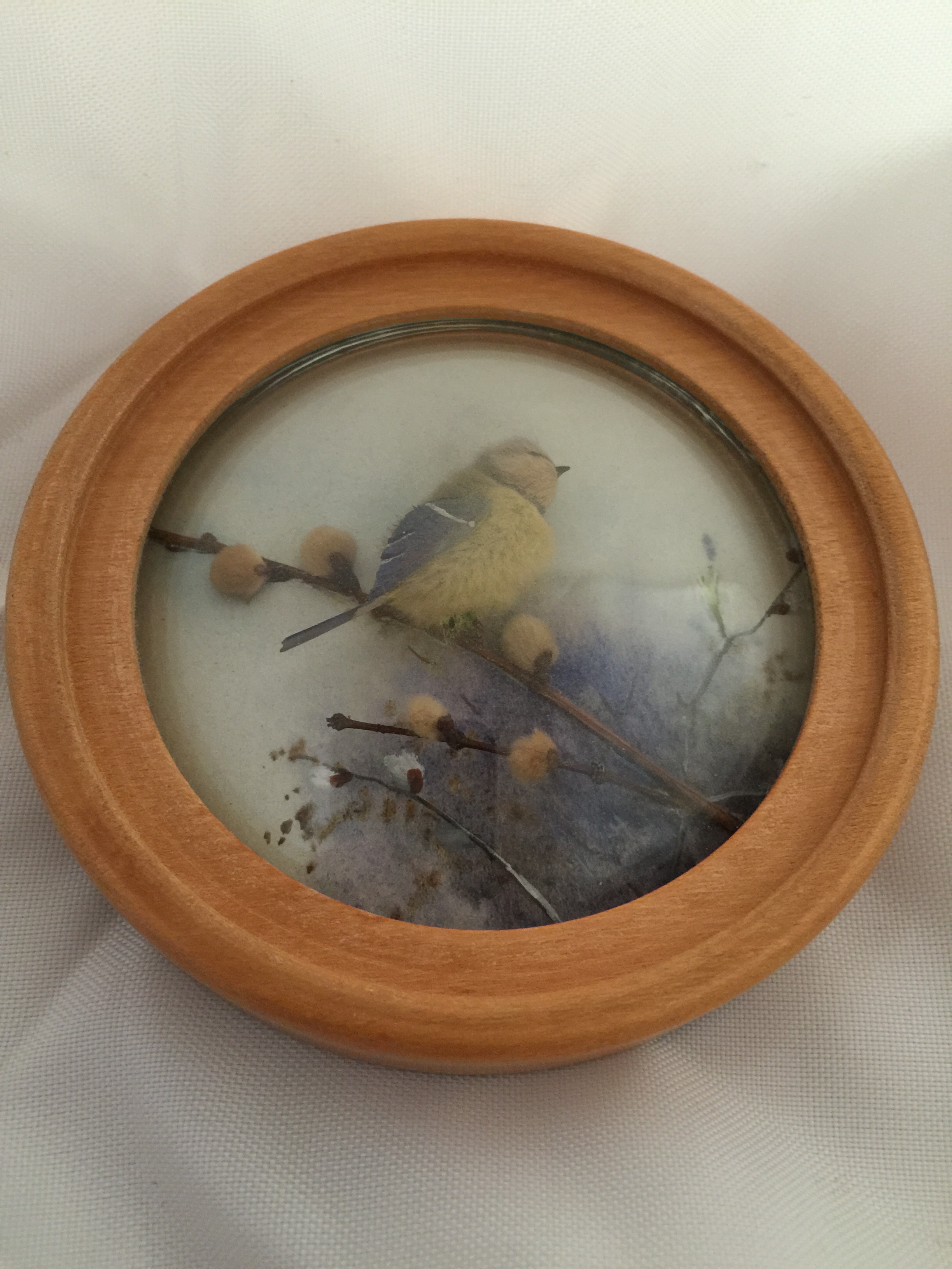 Bluetit (Version 2)