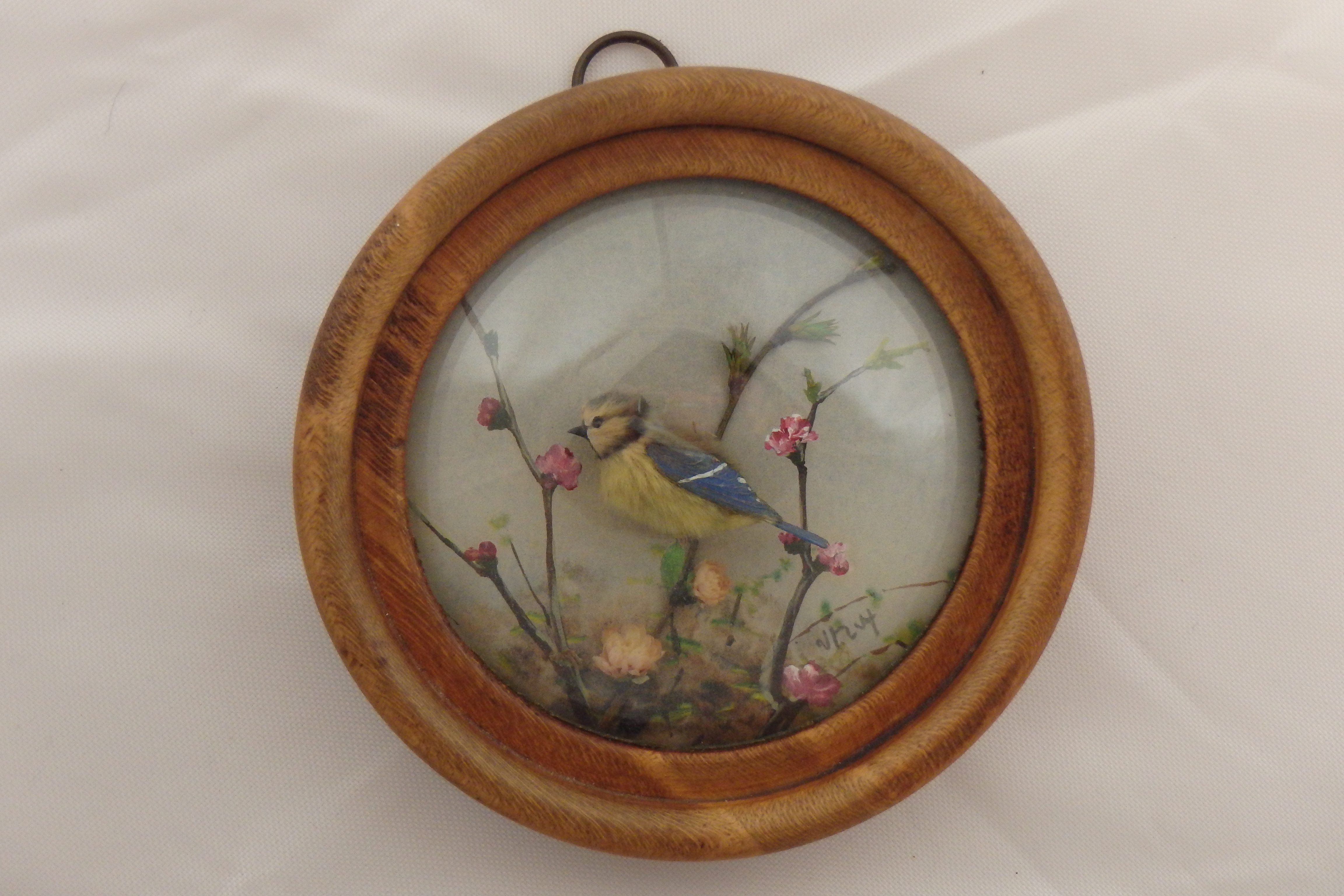 Bluetit (Version 3)