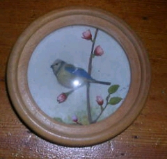 Bluetit