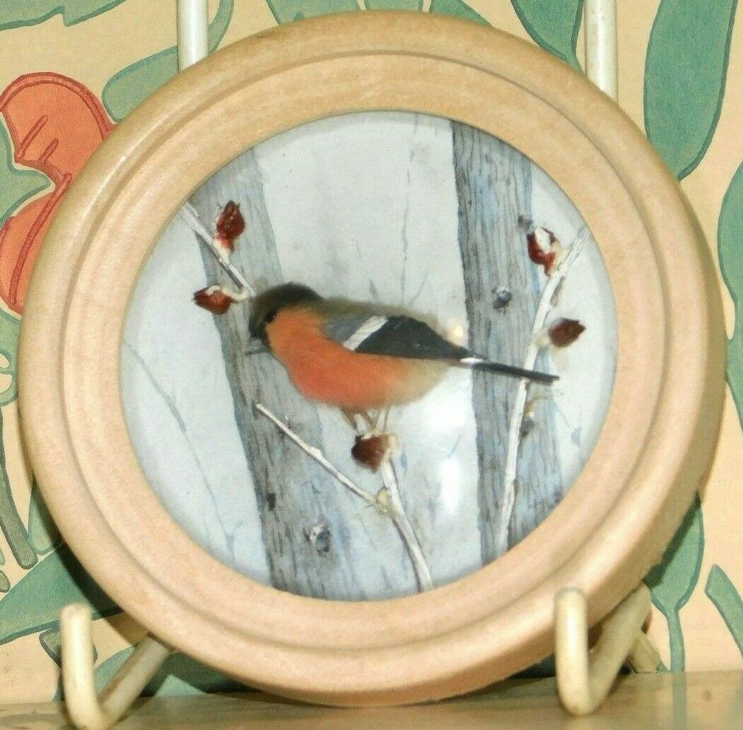 Bullfinch (Version 4)