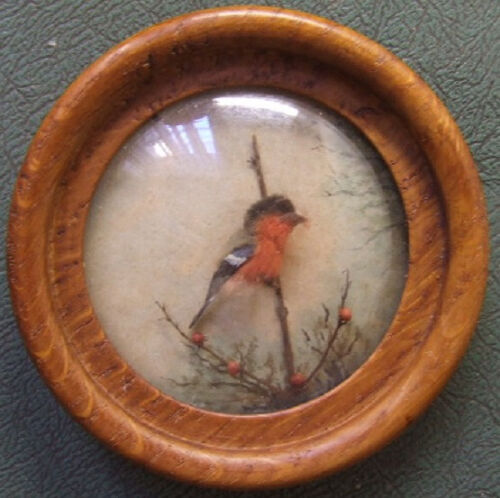 Bullfinch (Version 6)