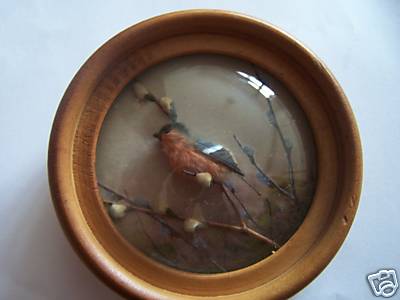 Bullfinch