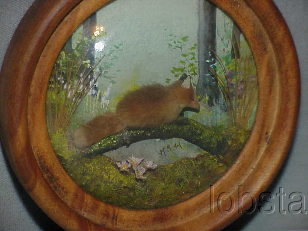 Fox (Version 2)