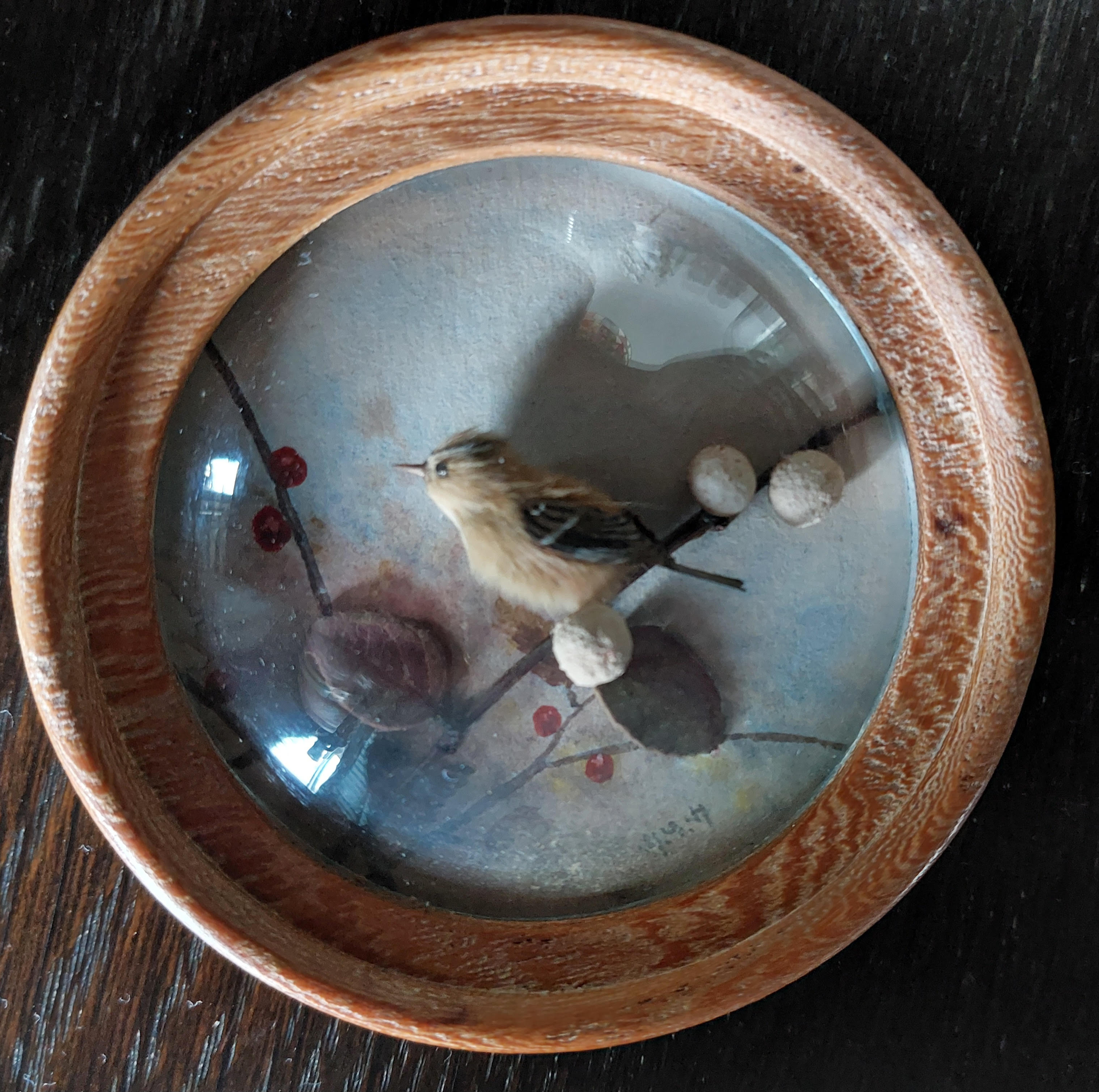Goldcrest (Version 2)