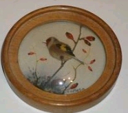 Goldfinch (Version 3)