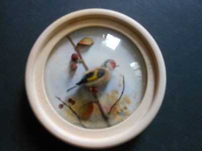 Goldfinch (Version 5)