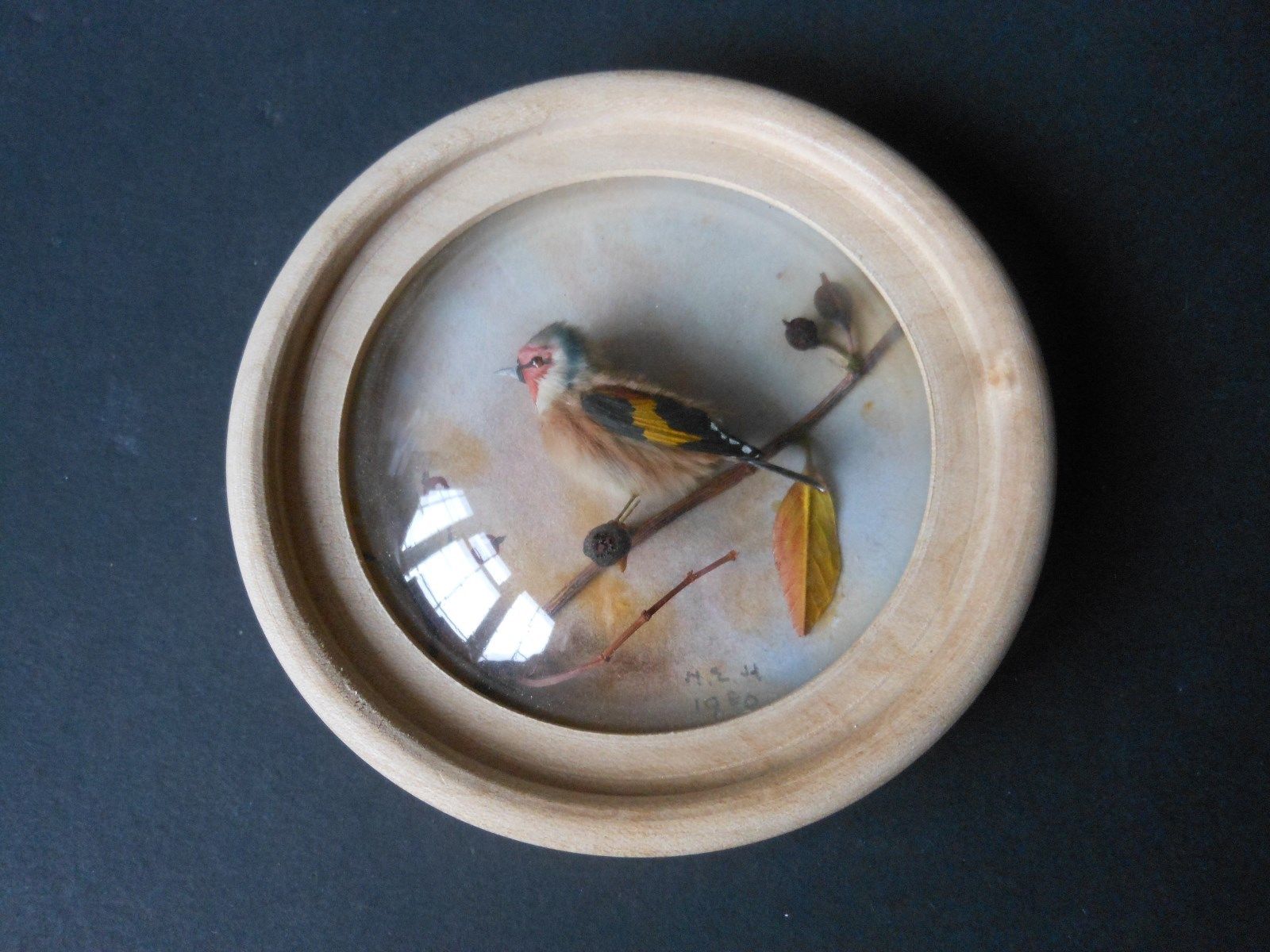Goldfinch (Version 7)