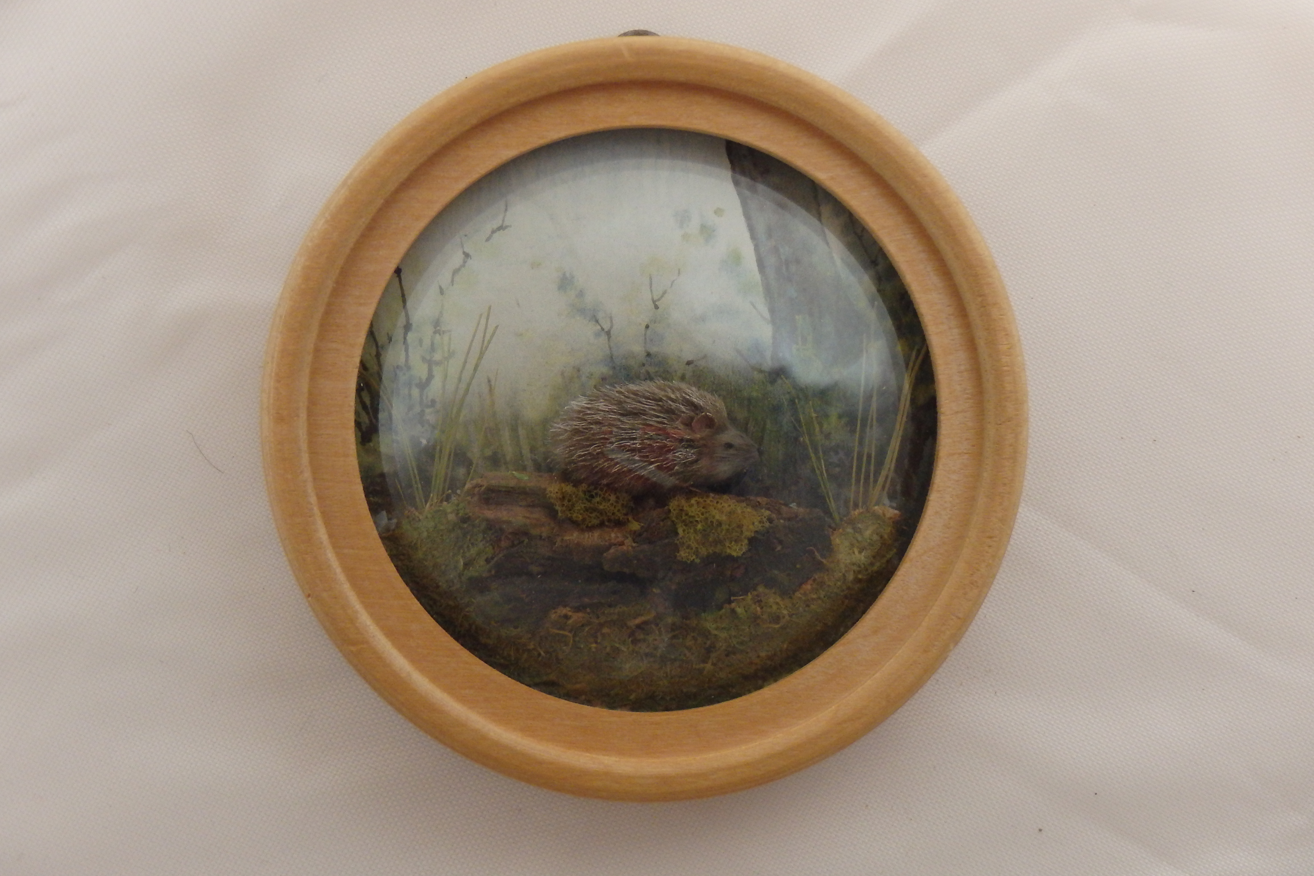 Hedgehog (Version 3)