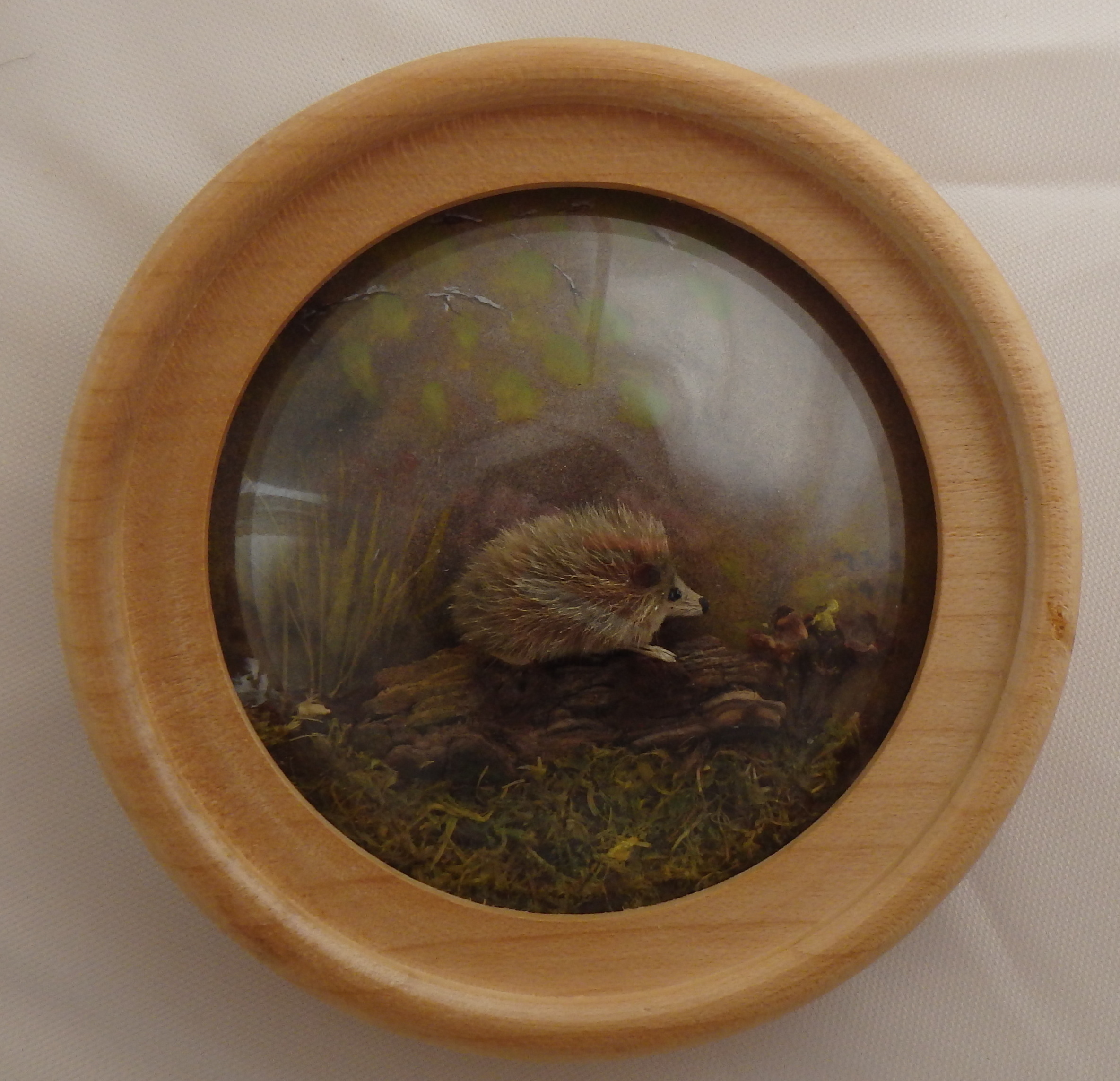 Hedgehog (Version 4)