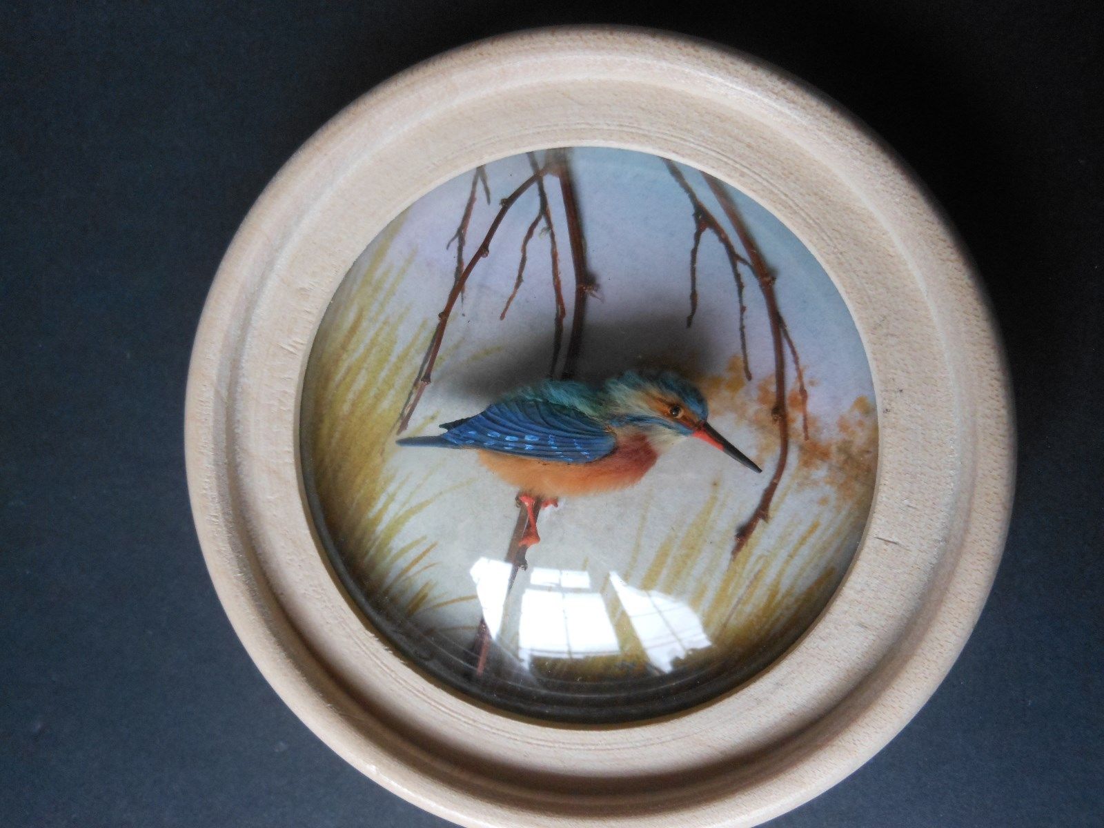 Kingfisher (Version 3)