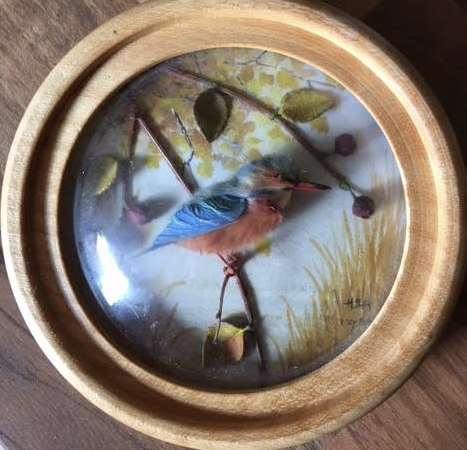Kingfisher (Version 4)