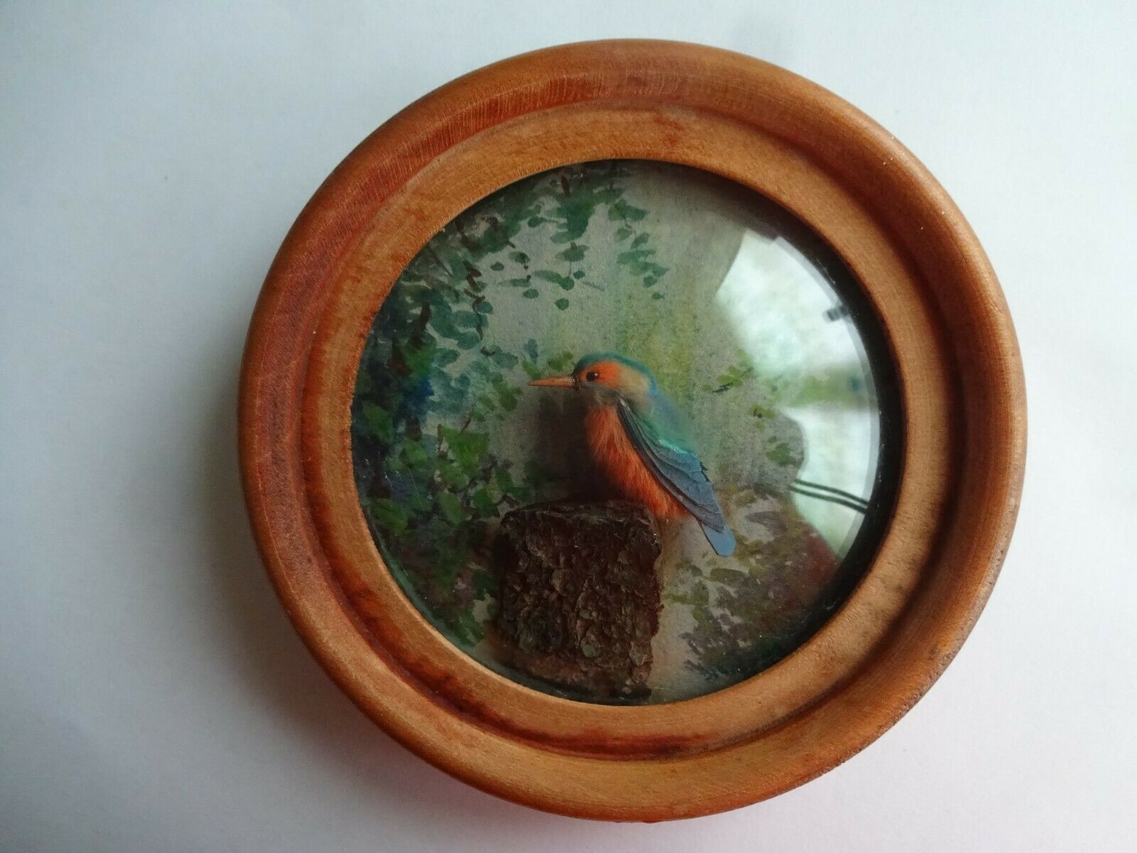 Kingfisher (Version 5)