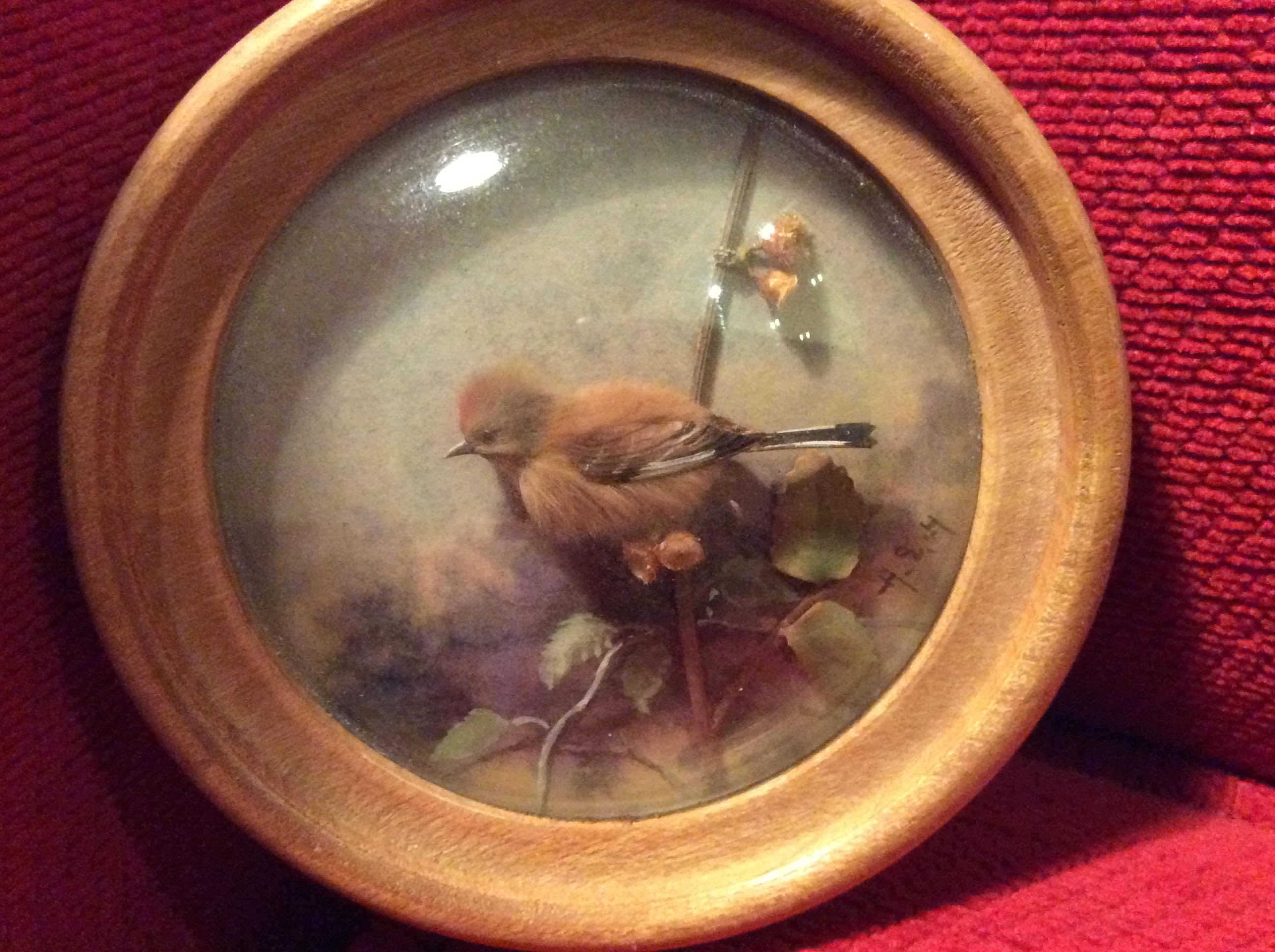 Linnet (Version 2)