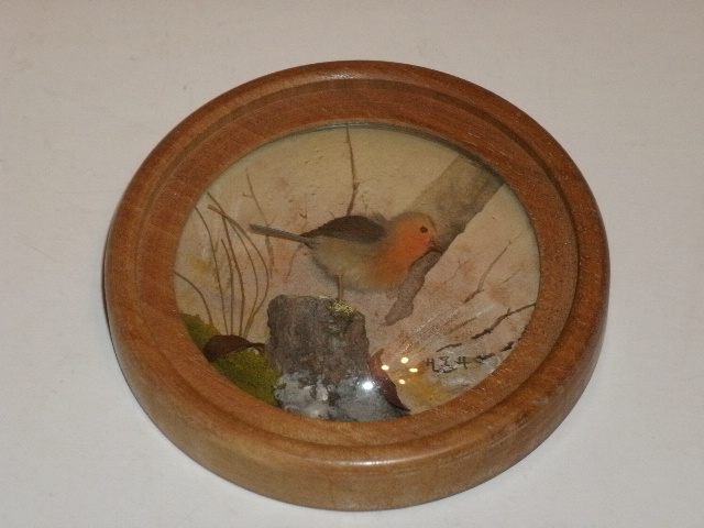 Robin (Version 2)