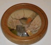 Robin (Version 3)