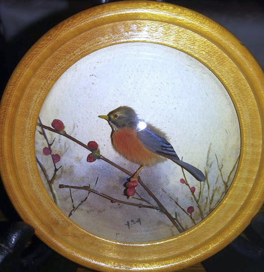Robin (Version 6)