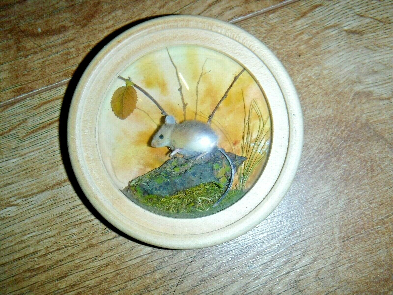 Woodmouse (Version 9)