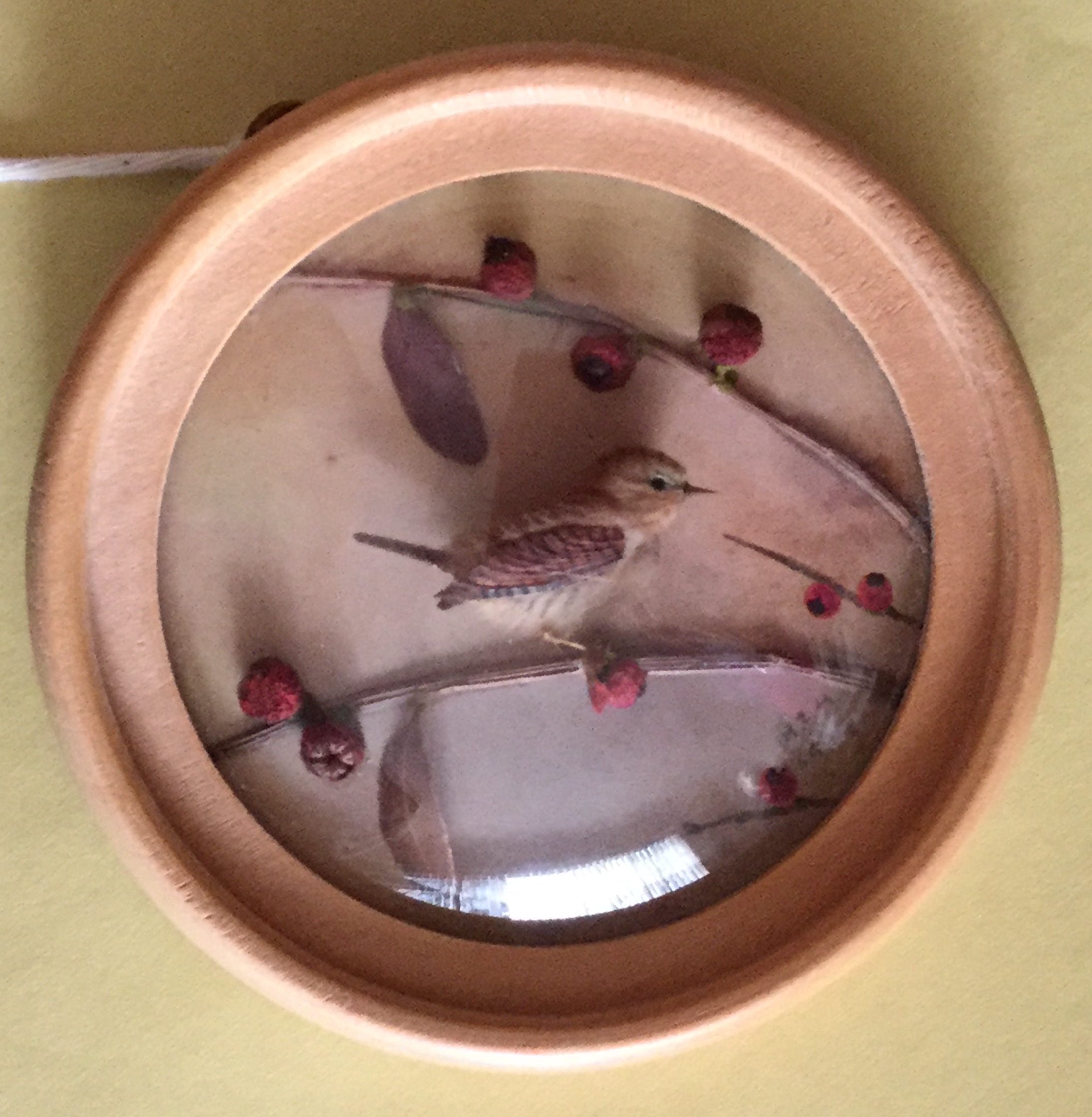 Wren (Version 2)