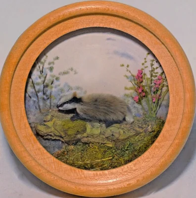 Badger diorama